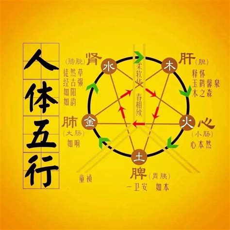 火木土金水|五行（对万事万物的取象比类）